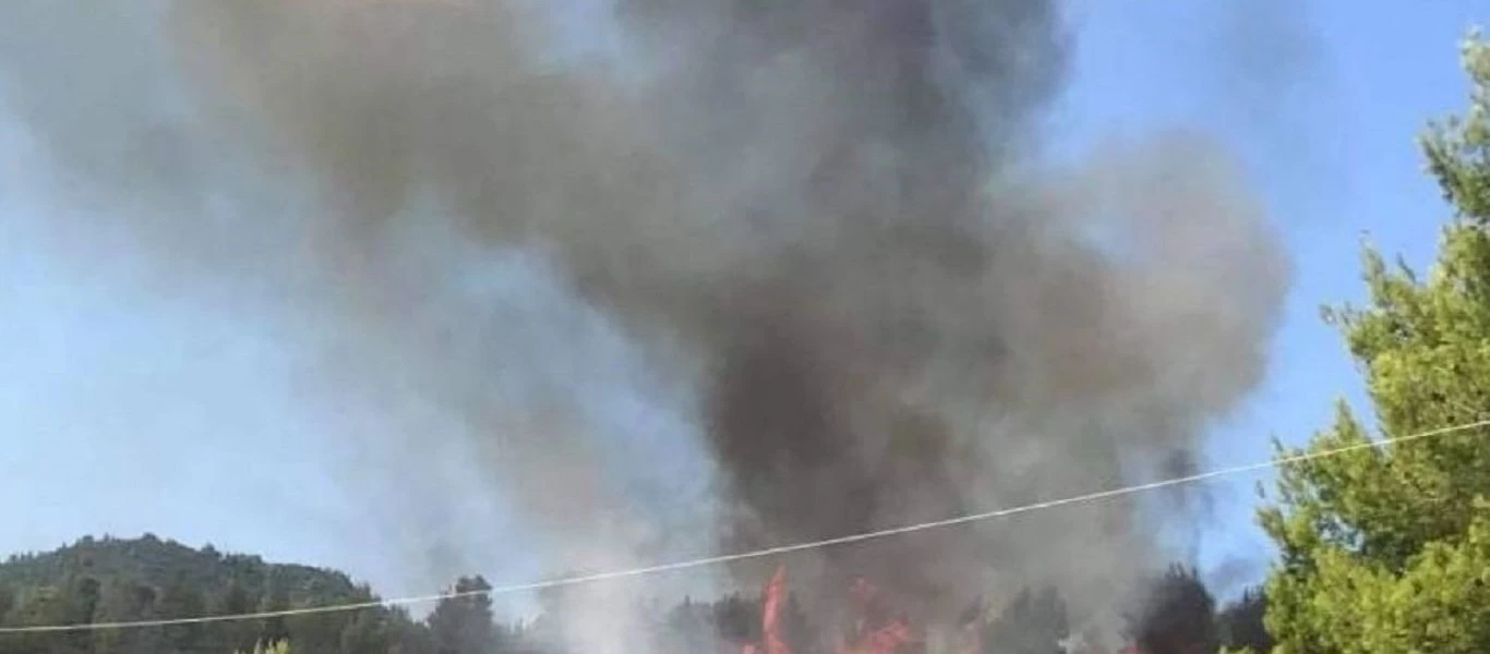 Εύβοια: Φωτιά στις Ροβιές - Μεγάλη η κινητοποίηση της πυροσβεστικής